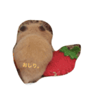 キンクマハムスターのたまごちゃん（個別スタンプ：1）