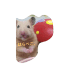 キンクマハムスターのたまごちゃん（個別スタンプ：2）