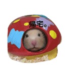 キンクマハムスターのたまごちゃん（個別スタンプ：7）