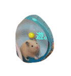 キンクマハムスターのたまごちゃん（個別スタンプ：8）