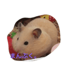キンクマハムスターのたまごちゃん（個別スタンプ：10）