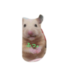 キンクマハムスターのたまごちゃん（個別スタンプ：15）