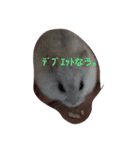 Twinsスタンプ（個別スタンプ：14）