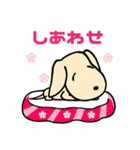 わんこ パート1（個別スタンプ：38）