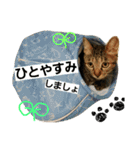 Lily ＆ Love friends...（個別スタンプ：4）