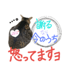 Lily ＆ Love friends...（個別スタンプ：7）