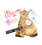 Lily ＆ Love friends...（個別スタンプ：15）