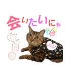 Lily ＆ Love friends...（個別スタンプ：17）
