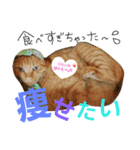 Lily ＆ Love friends...（個別スタンプ：26）