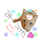 Lily ＆ Love friends...（個別スタンプ：27）