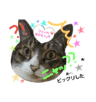 Lily ＆ Love friends...（個別スタンプ：30）