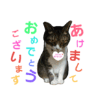Lily ＆ Love friends...（個別スタンプ：32）