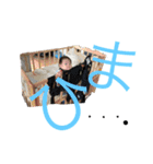 翔飛の日常（個別スタンプ：3）