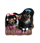 コロアポティ（個別スタンプ：2）