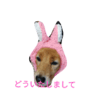 コロアポティ（個別スタンプ：7）