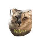 ダブルもふもふフウ＆ナギ（個別スタンプ：2）