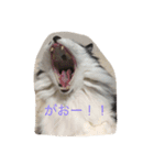 ダブルもふもふフウ＆ナギ（個別スタンプ：6）