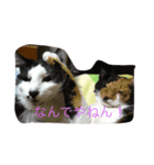 ダブルもふもふフウ＆ナギ（個別スタンプ：8）