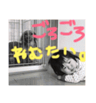HC005（個別スタンプ：7）