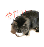 まっちゃんち（個別スタンプ：11）