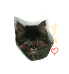 まっちゃんち（個別スタンプ：12）