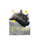 まっちゃんち（個別スタンプ：15）