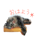 まっちゃんち（個別スタンプ：16）