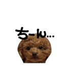 poudrefamily（個別スタンプ：1）