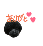 poudrefamily（個別スタンプ：4）