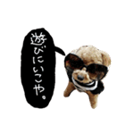 poudrefamily（個別スタンプ：14）