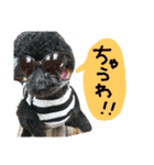 poudrefamily（個別スタンプ：18）