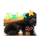 poudrefamily（個別スタンプ：24）