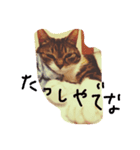 nanako6（個別スタンプ：4）
