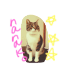 nanako6（個別スタンプ：9）