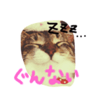 nanako6（個別スタンプ：16）