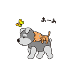 Cute dog and cat animation2（個別スタンプ：12）