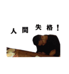 BUCCI（個別スタンプ：8）