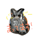 ウルラとカルラの日常（個別スタンプ：5）