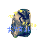 ウルラとカルラの日常（個別スタンプ：6）