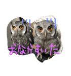 ウルラとカルラの日常（個別スタンプ：12）