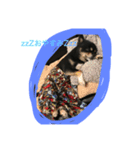 たこす犬（個別スタンプ：1）