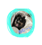 たこす犬（個別スタンプ：3）