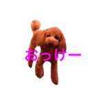 ヴィヴィの毎日（個別スタンプ：5）