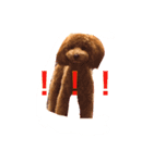 ヴィヴィの毎日（個別スタンプ：7）
