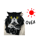 film cat（個別スタンプ：5）