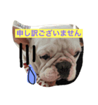 RIArin3（個別スタンプ：6）