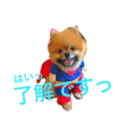 うちのティンクさん2ときどきラブちゃん（個別スタンプ：2）