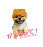 うちのティンクさん2ときどきラブちゃん（個別スタンプ：3）