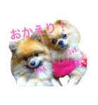 うちのティンクさん2ときどきラブちゃん（個別スタンプ：8）