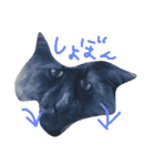 ぶちゃねこグレコ（個別スタンプ：5）